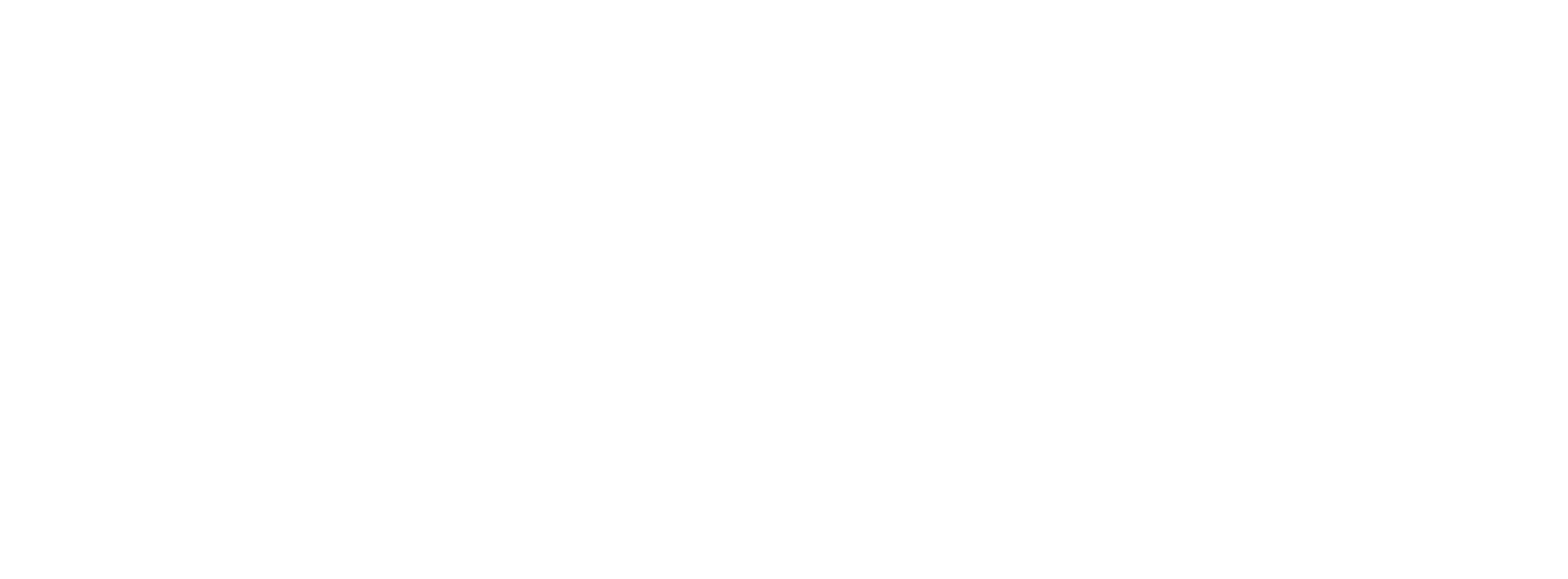 0001 sfp fbl logo